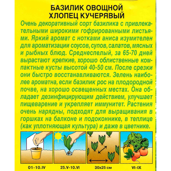 Базилик Хлопец кучерявый [Аэлита] купить с доставкой