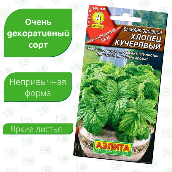 Базилик Хлопец кучерявый [Аэлита] купить с доставкой