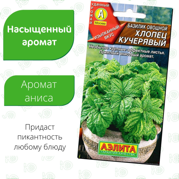 Базилик Хлопец кучерявый [Аэлита] купить с доставкой