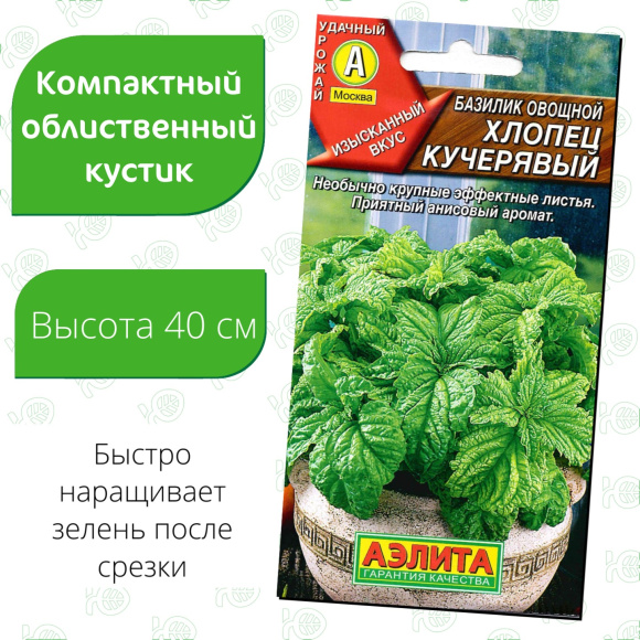 Базилик Хлопец кучерявый [Аэлита] купить с доставкой