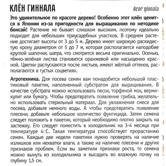 Клён Гиннала [Семена редких растений] купить с доставкой