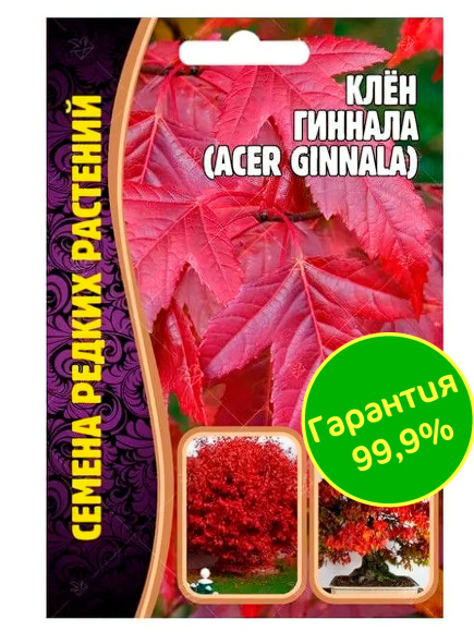Клён Гиннала [Семена редких растений] купить с доставкой