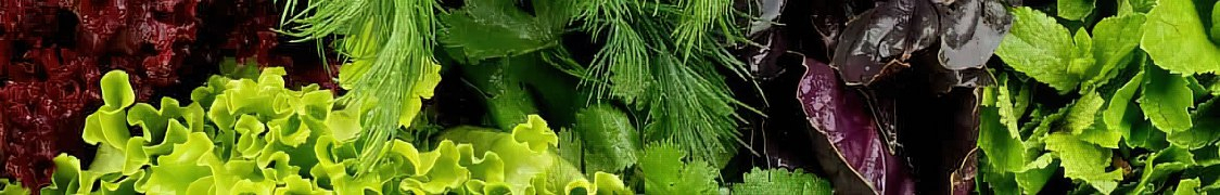 Зелень купить с доставкой из питомника по России