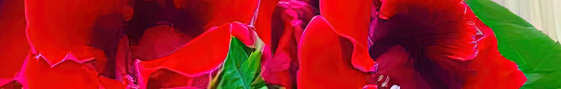 Глоксиния купить с доставкой из питомника по России