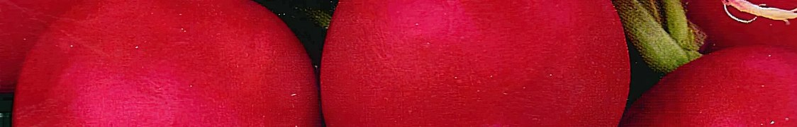 Редис купить с доставкой из питомника по России