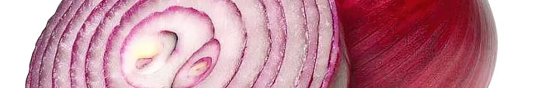 Лук купить с доставкой из питомника по России