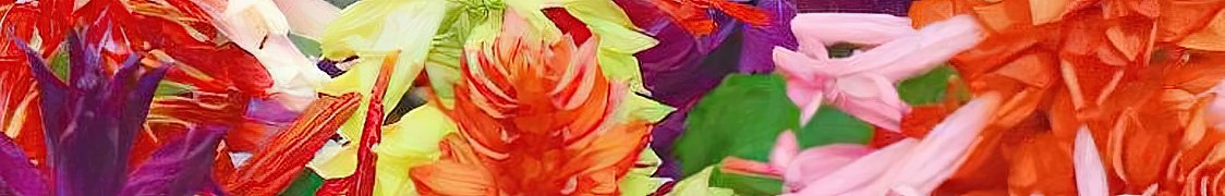 Сальвия купить с доставкой из питомника по России