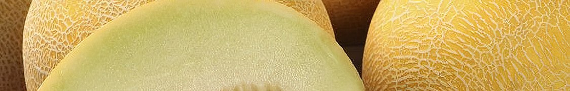 Дыня купить с доставкой из питомника по России