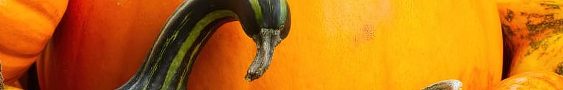 Тыква купить с доставкой из питомника по России