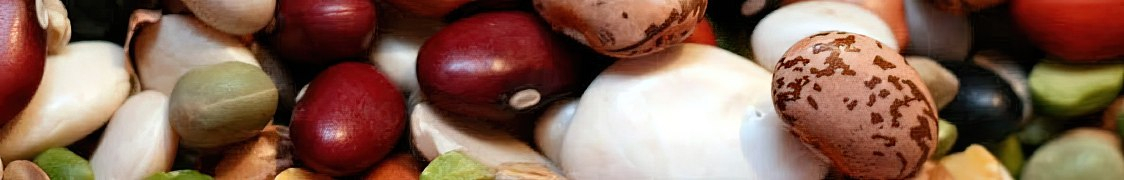 Фасоль купить с доставкой из питомника по России