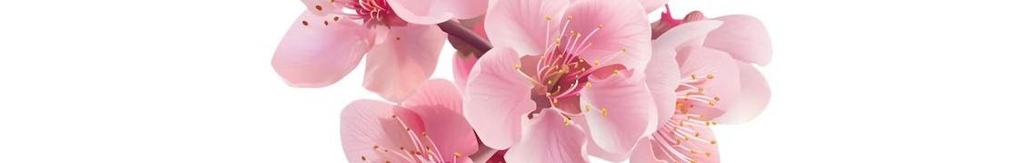 Цветы у которых пурпурные цветы